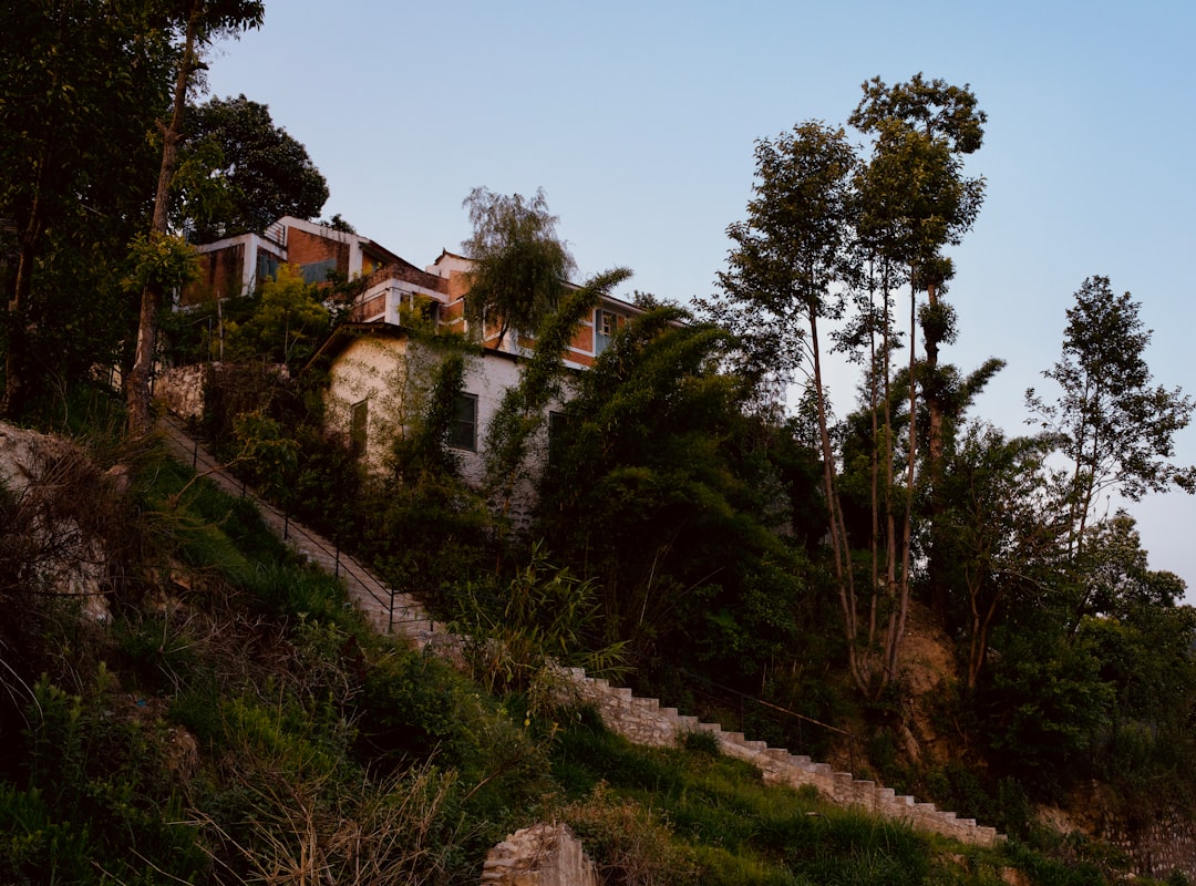 Small-scale poultry farming economics