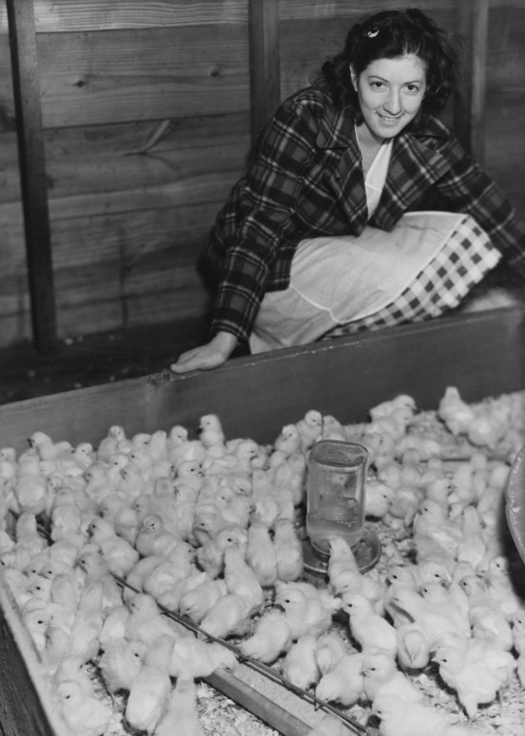 Layer housing system